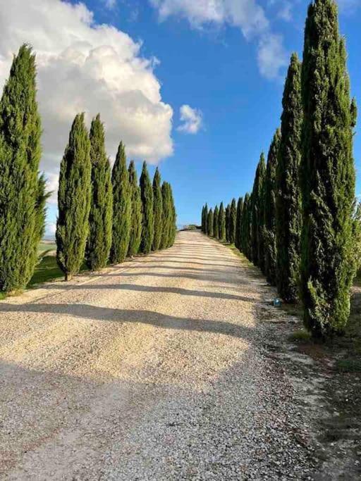 Toscana Amore Mio, Stunning View & 14Min Volterra Montecatini Val di Cecina Luaran gambar